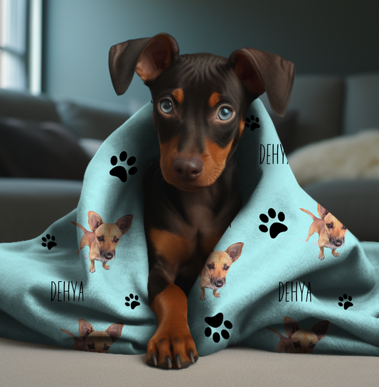 Plush Fleece Dog Blankets | Dog Blankets for Bed | Bori Mood Store